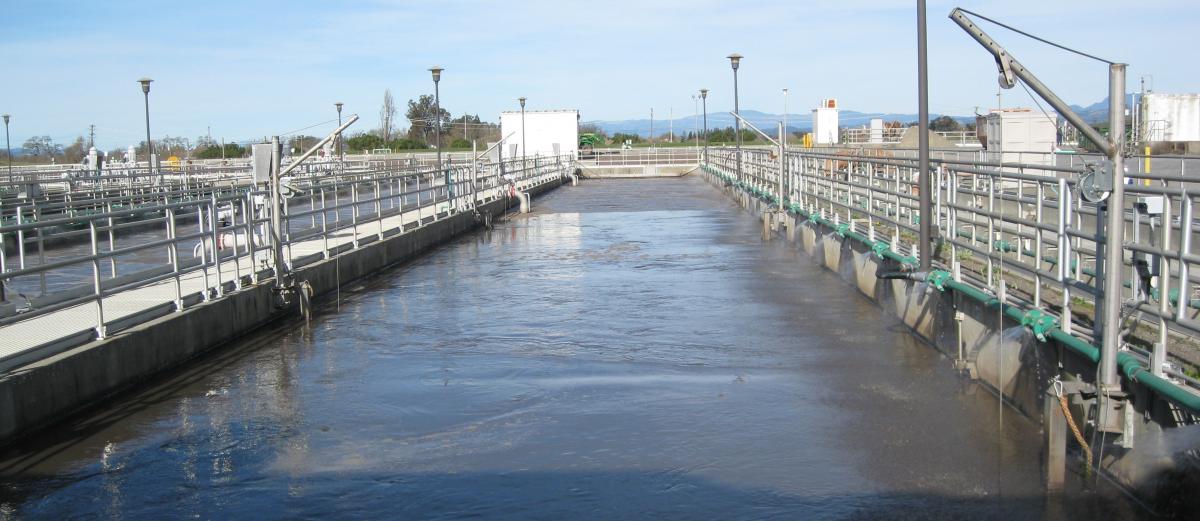 Activated sludge basins